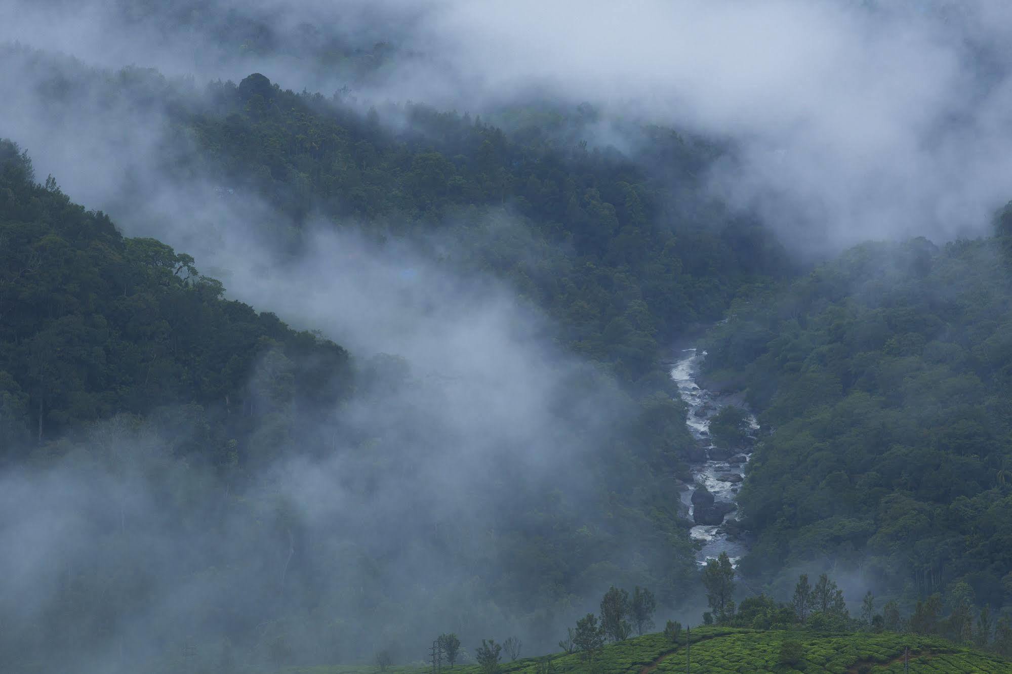 Fragrant Nature Munnar - A Five Star Classified Hotel Екстериор снимка